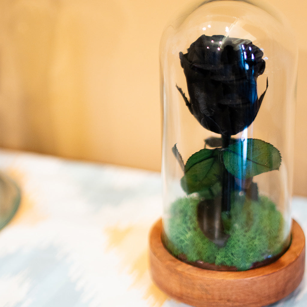 Close-up detail of The Eternal Rose (Black) petals – sophisticated dark floral décor.