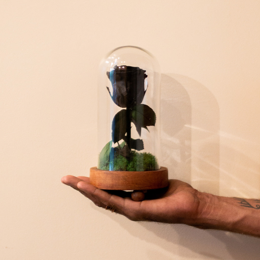 The Eternal Rose (Black) shown in hand – premium single-rose preserved décor.