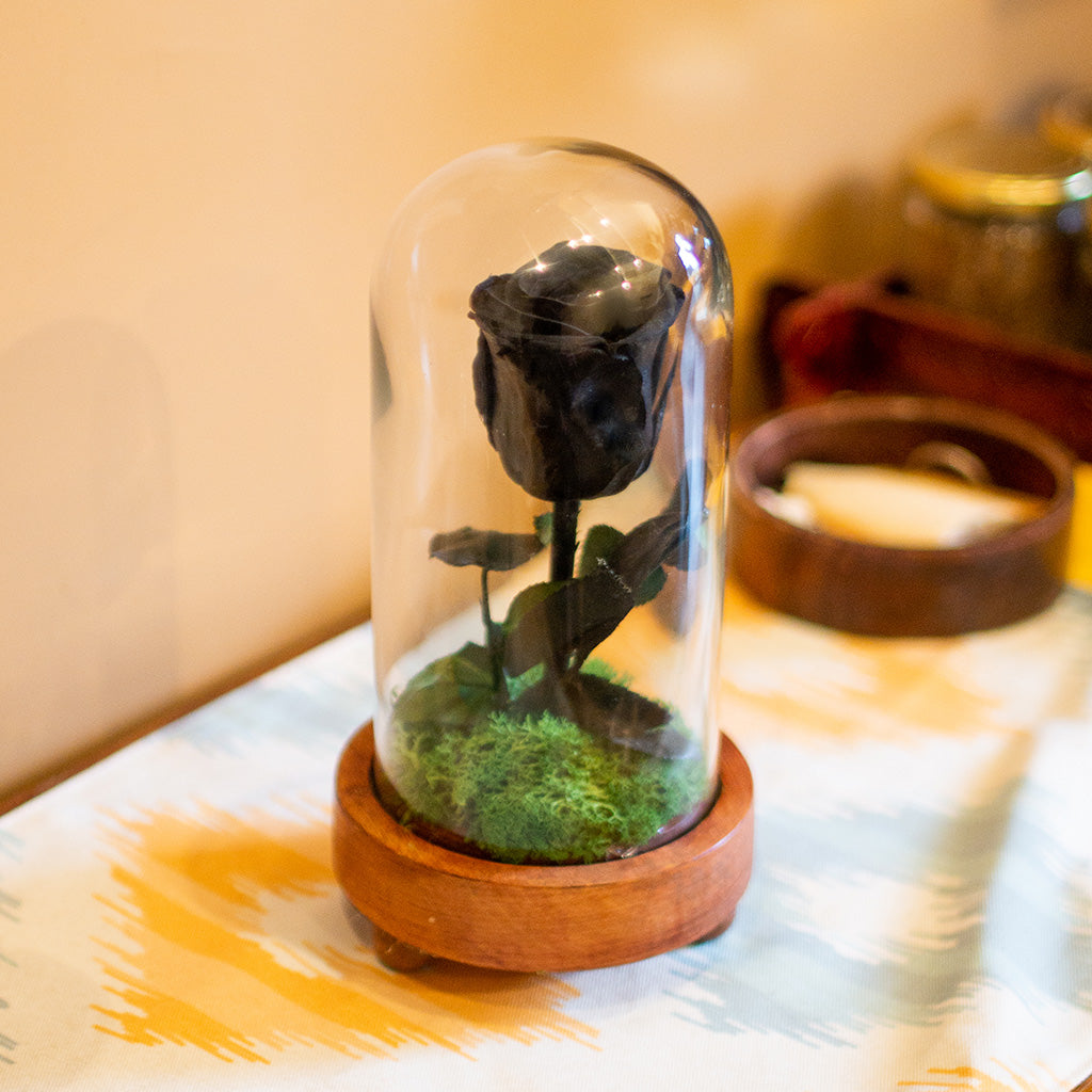 Close-up of The Eternal Rose (Black) by myBageecha – preserved black rose in elegant dome display.