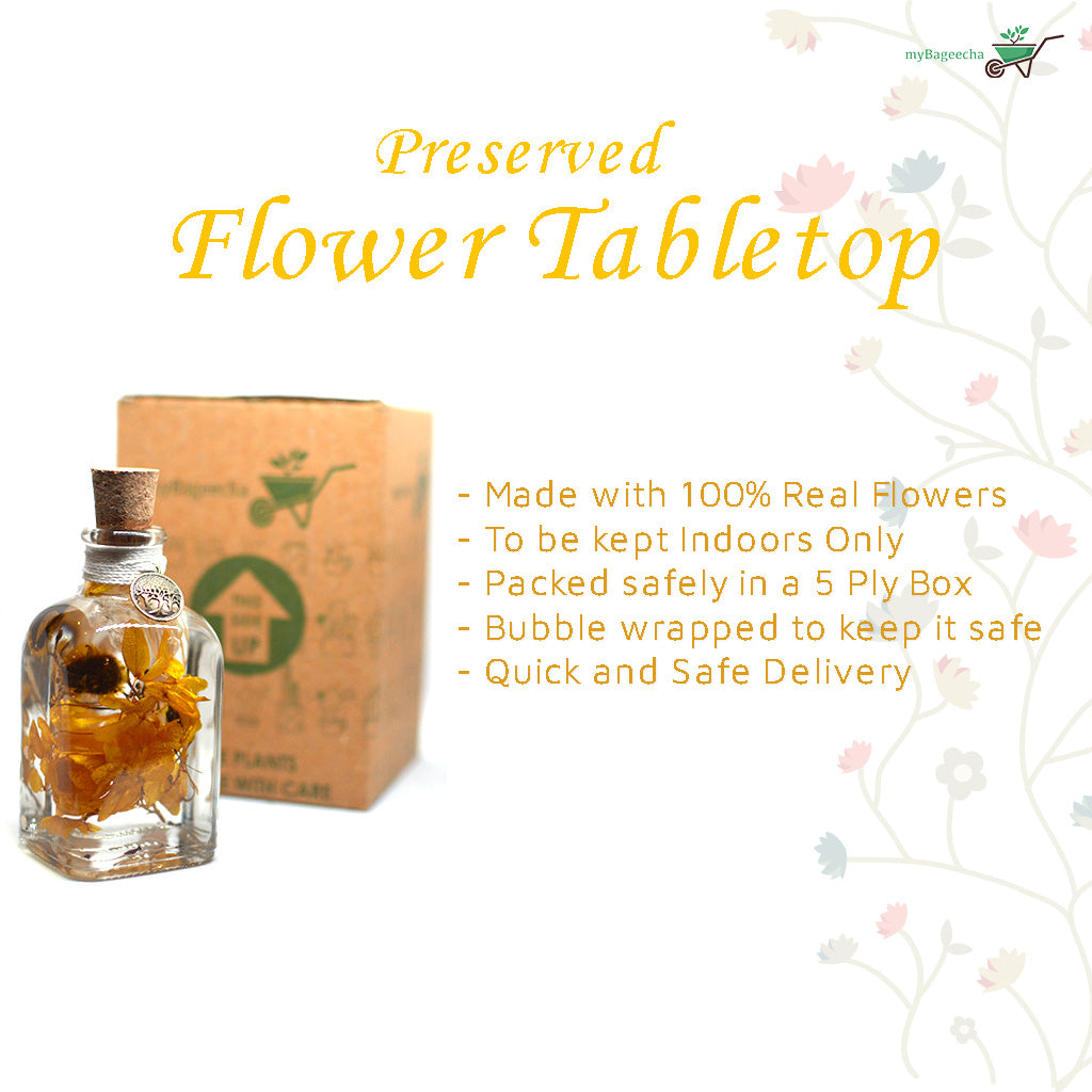 A fiery and expressive preserved arrangement that energizes the room.