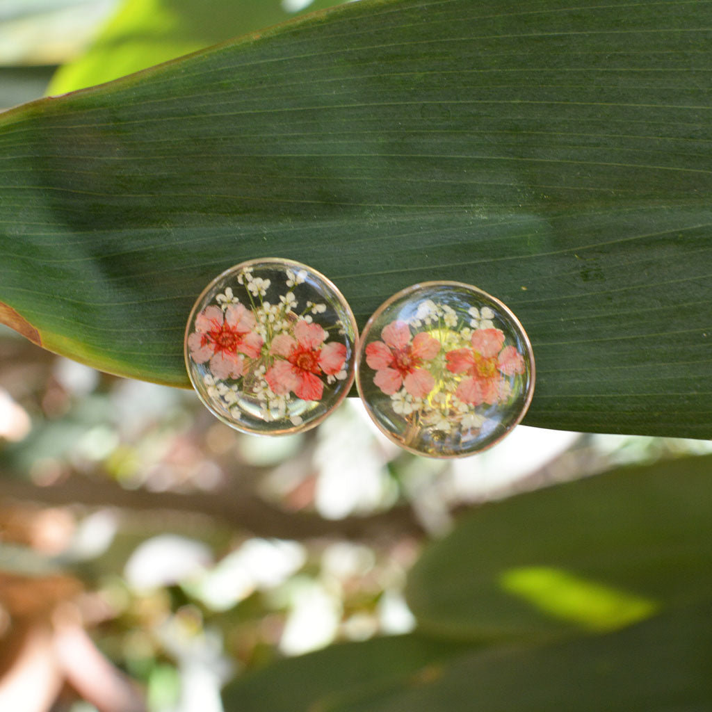 Blooming Stars Real Dried Flower Earrings - myBageecha