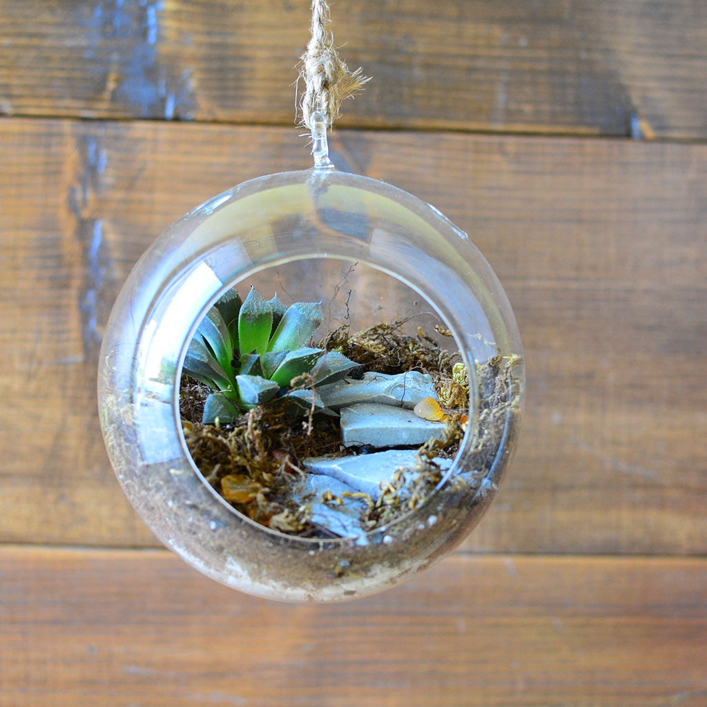 The Blooming Staircase Terrarium Kit - myBageecha