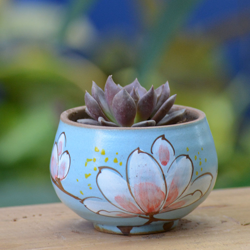 Blossoming in Blue Ceramic Pot - myBageecha