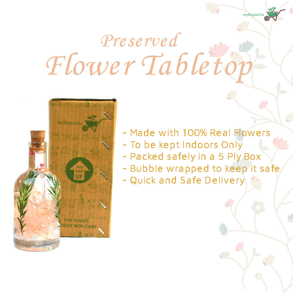 Blushing Ballet Preserved Flower Tabletop - myBageecha