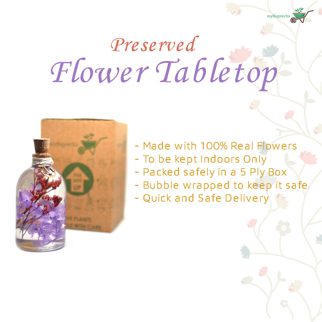 Soft mauve hues bring elegance and warmth to personal and intimate spaces.