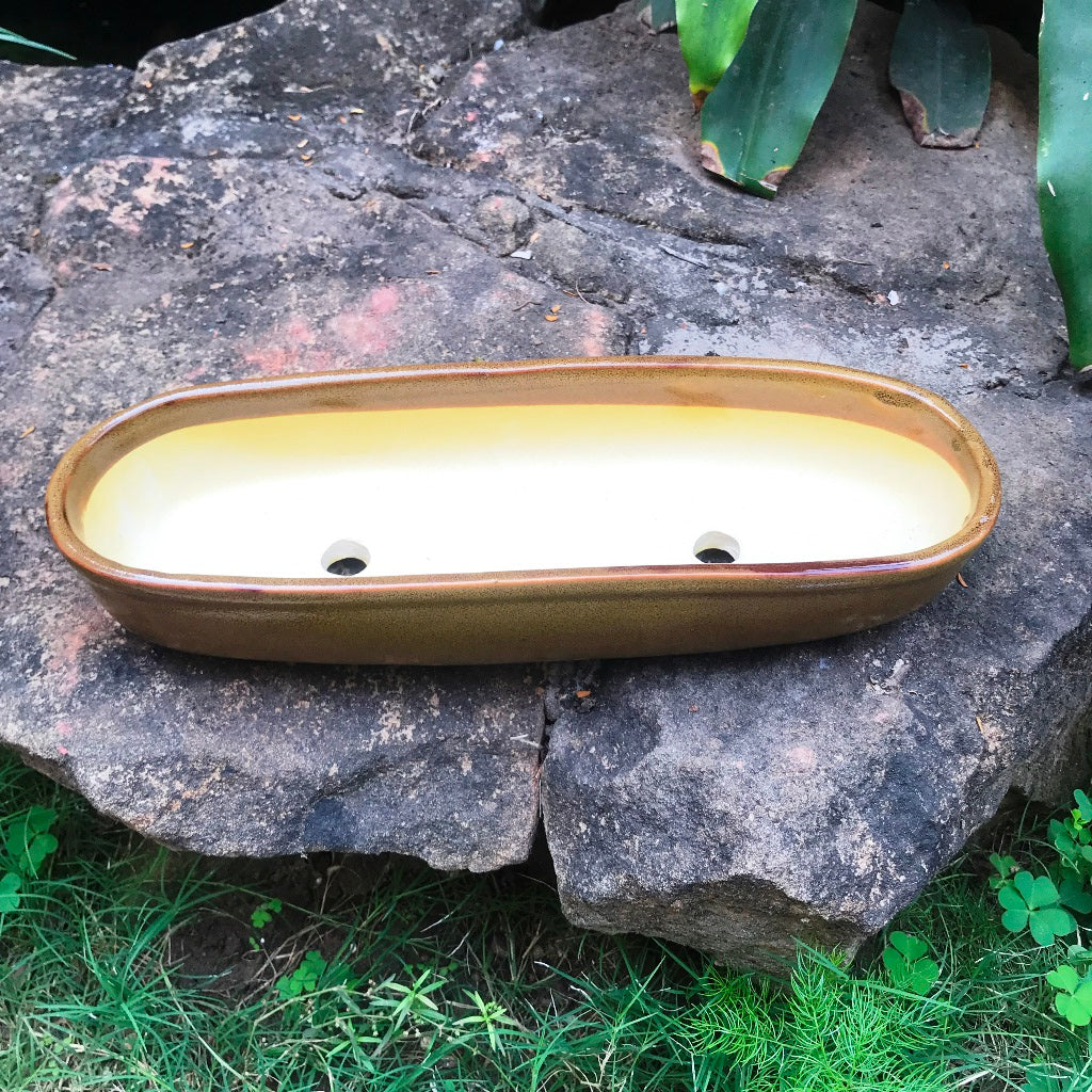 Bonsai Oval Long Tray- Biege