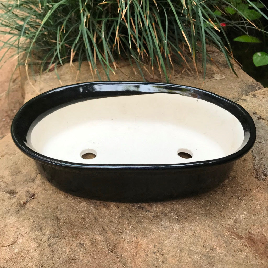 Bonsai Oval Ceramic Planter – myBage