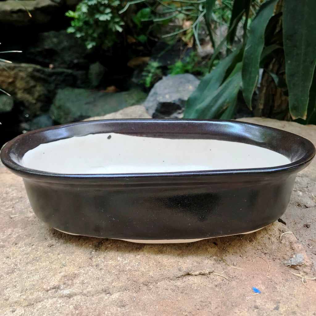 Bonsai Oval Ceramic Planter – Coffee – myBageecha