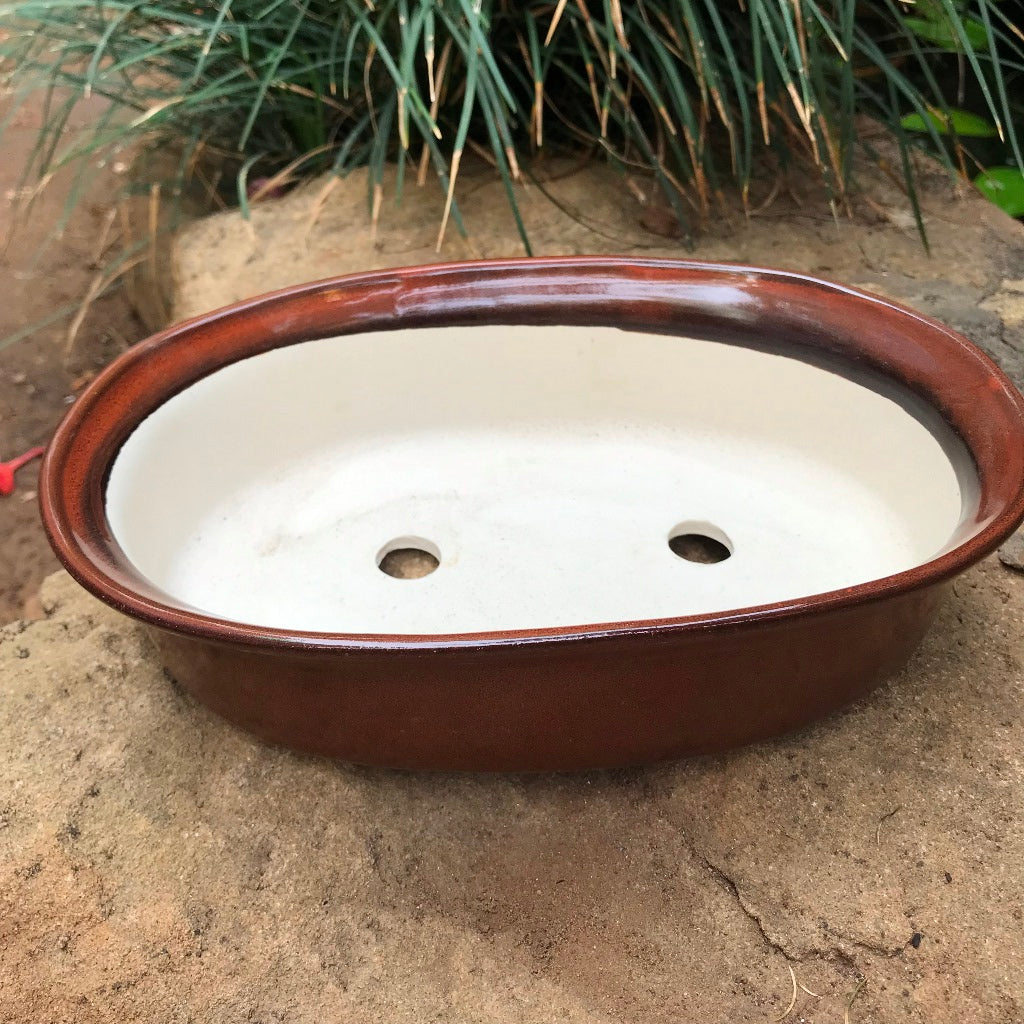 Bonsai Oval Ceramic Planter – myBageecha