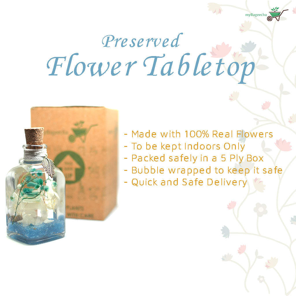 By The Bay Preserved Flower Tabletop - myBageecha