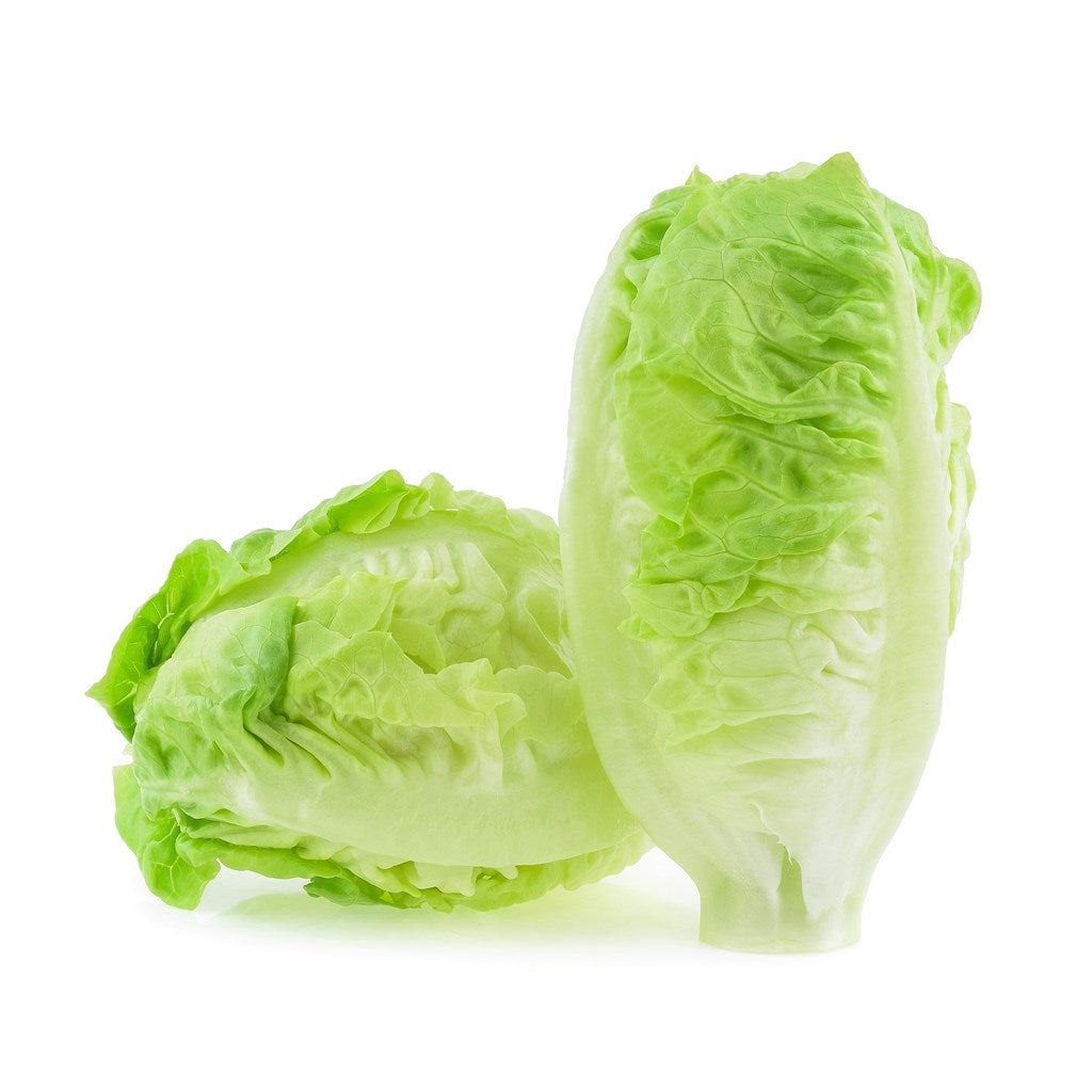 Leafy vegetable, winter harvest