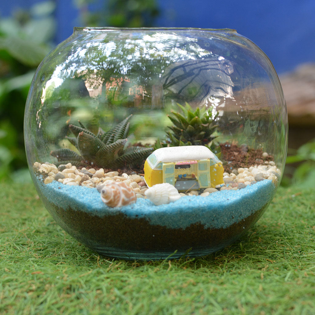 Camping by the Beach Terrarium Kit - myBageecha