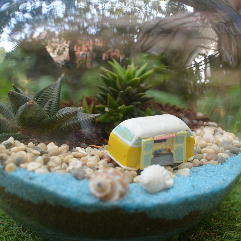 Camping by the Beach Terrarium Kit - myBageecha
