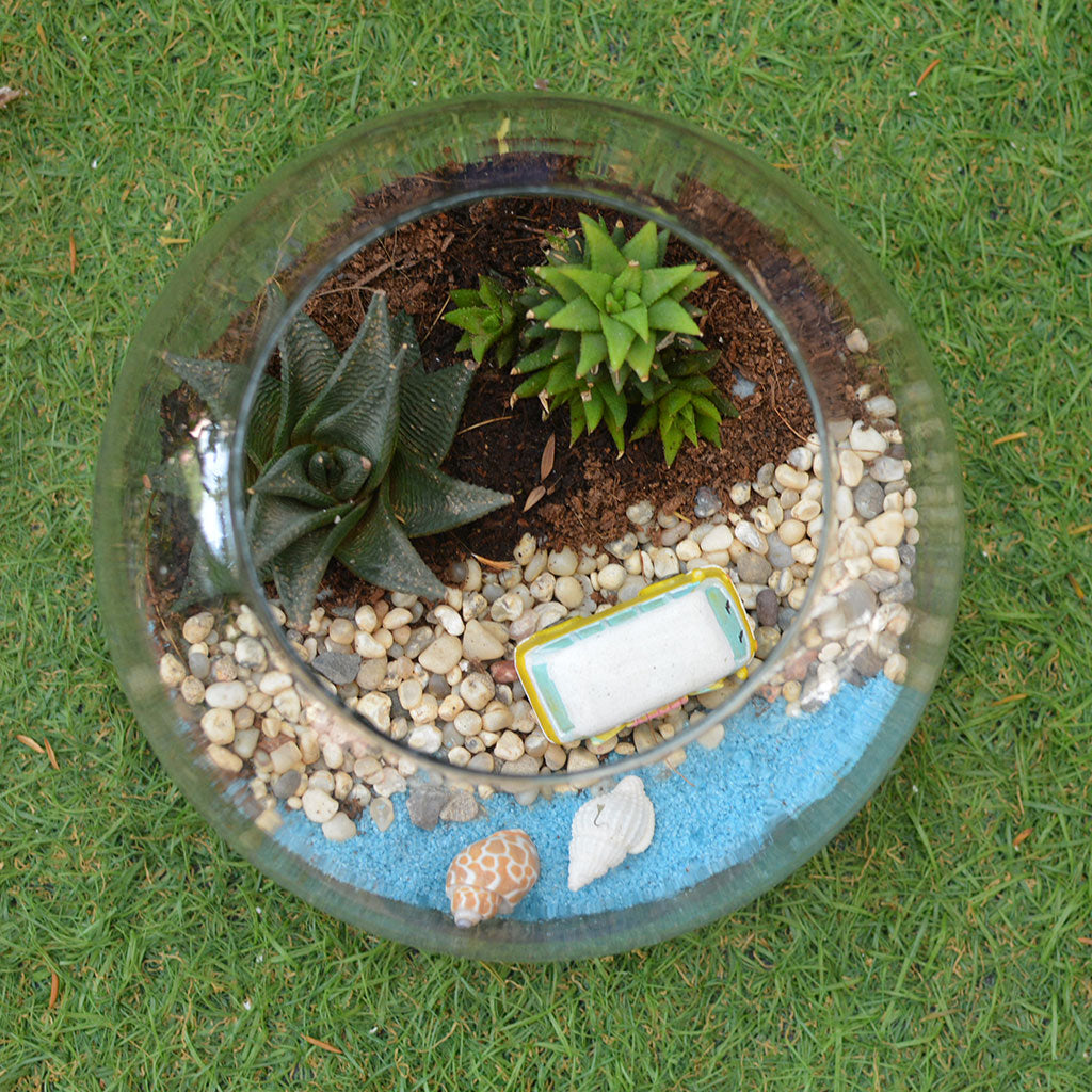 Camping by the Beach Terrarium Kit - myBageecha