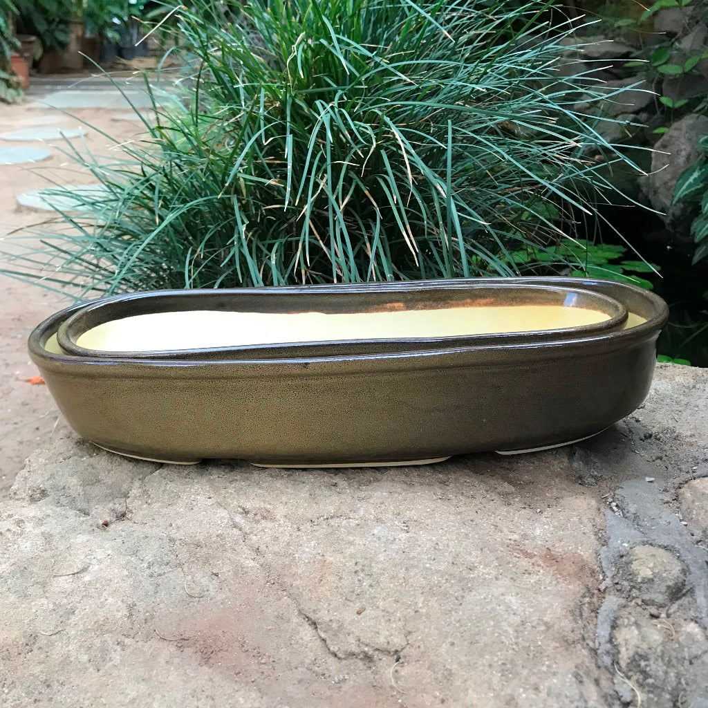 Set of 2 Chiselled Bonsai Tray – Cypress Green – myBageecha