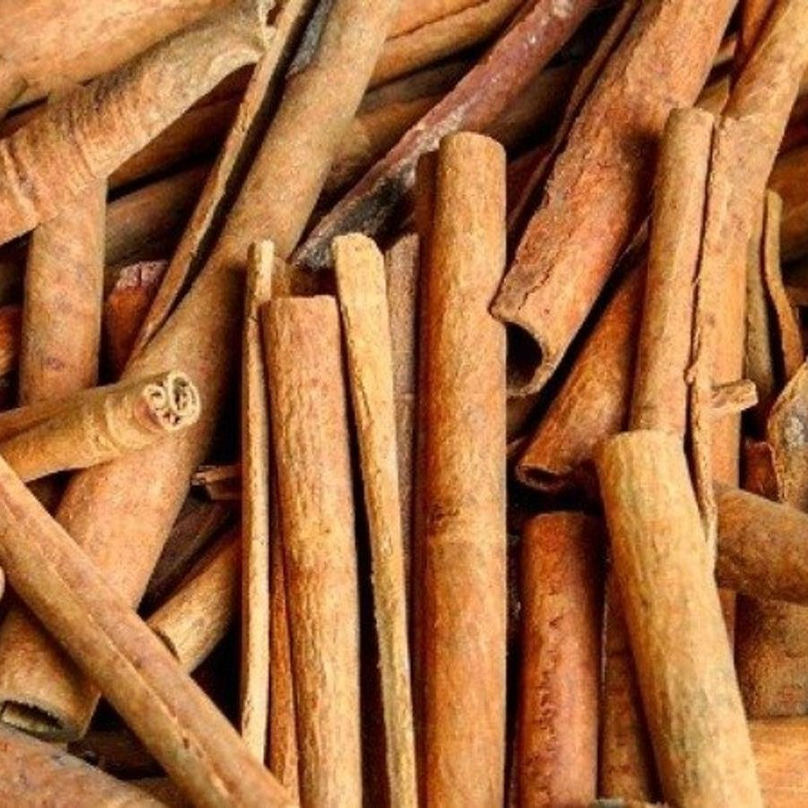 Cinnamomum Verum Dalchini Plant - myBageecha