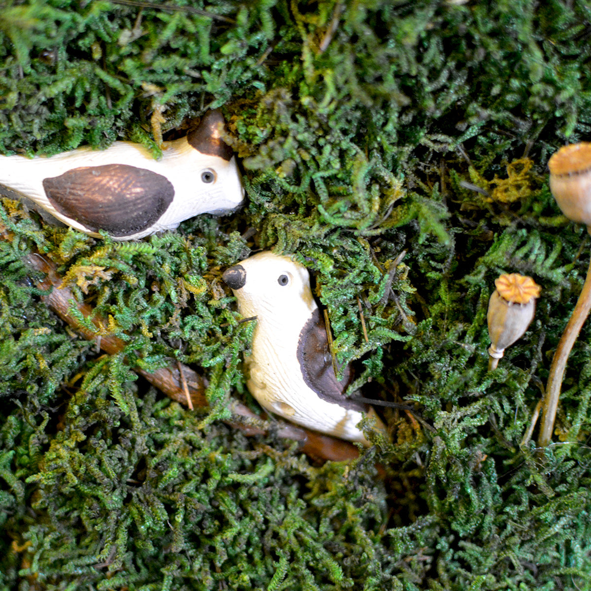 Compact green moss décor – close-up