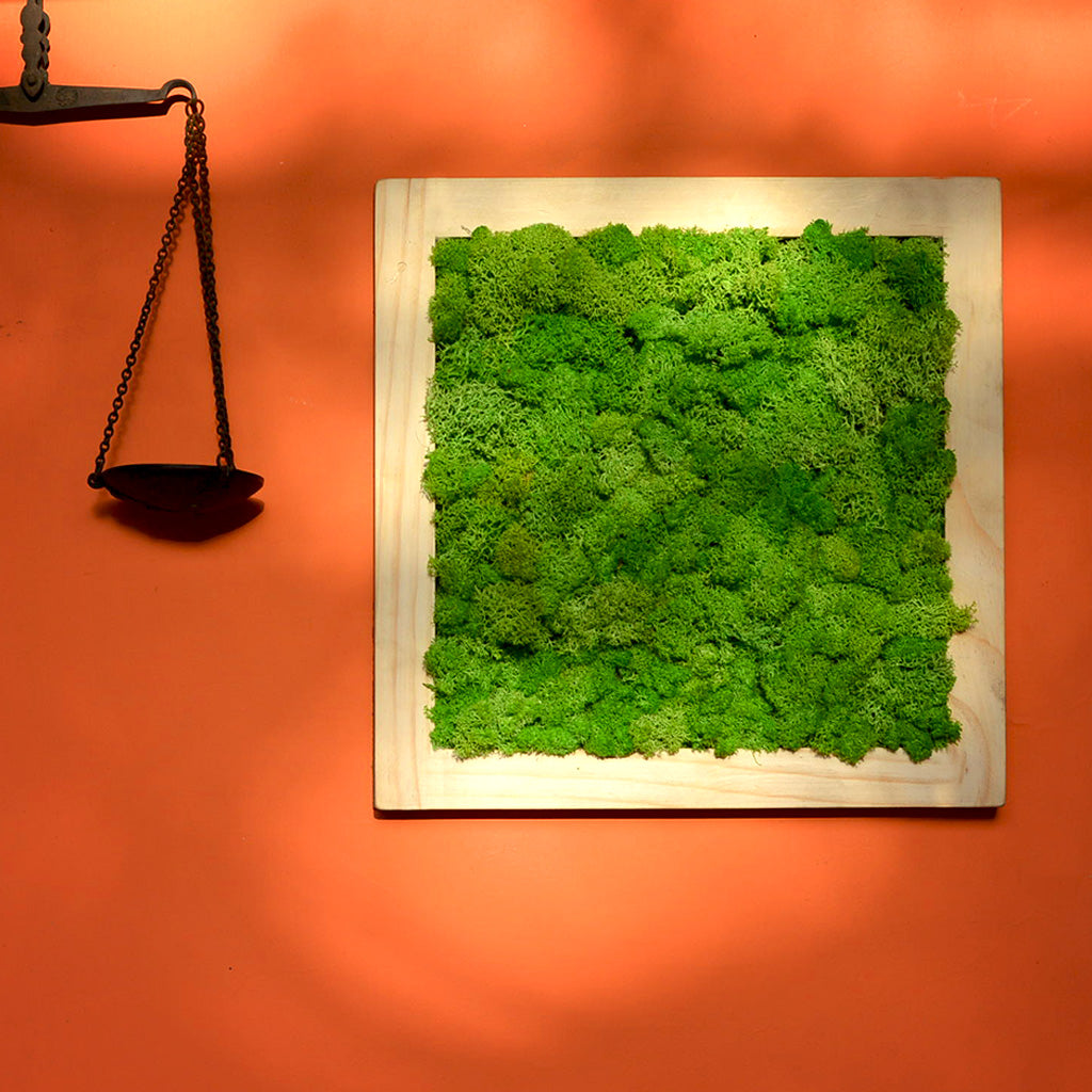 Classic Green Preserved Moss Frame with Light Wood - myBageecha