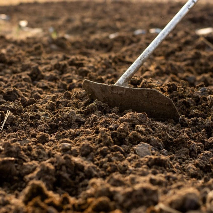 Cow Dung Organic Fertilizer - myBageecha