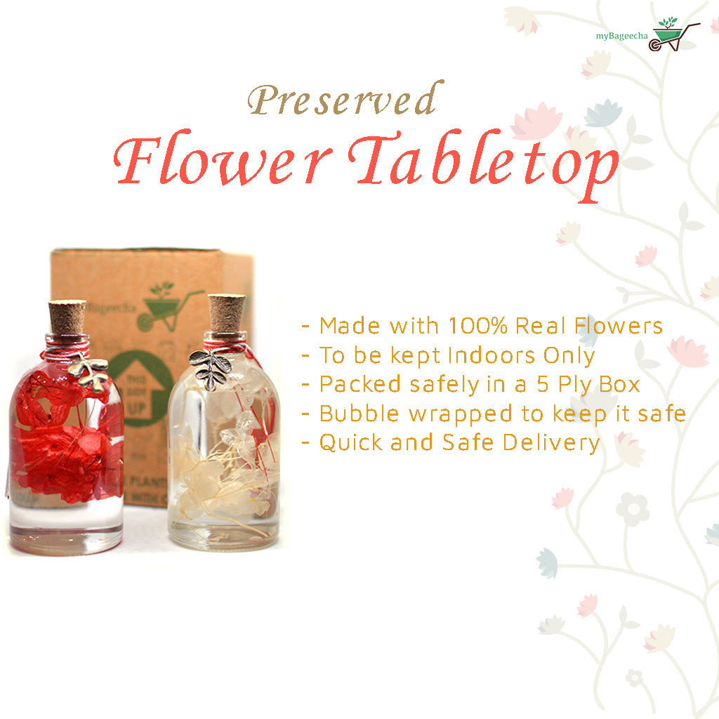 Crimson Yin Yang (Set of 2) Preserved Flower Tabletop - myBageecha