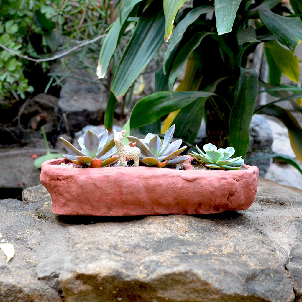 Set of 3 Crude Partitioned Rectangle Terracotta Pot - myBageecha