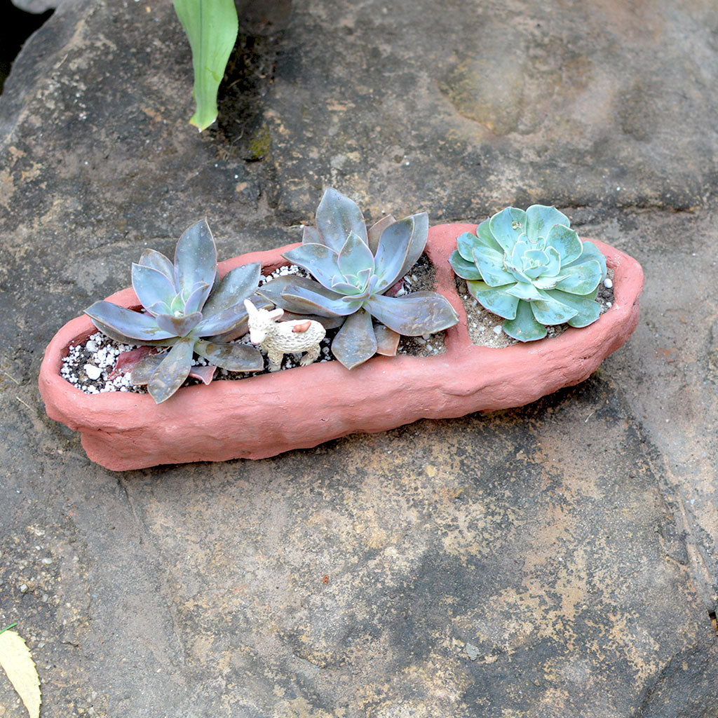 Crude Partitioned Rectangle Terracotta Pot front view – myBageecha