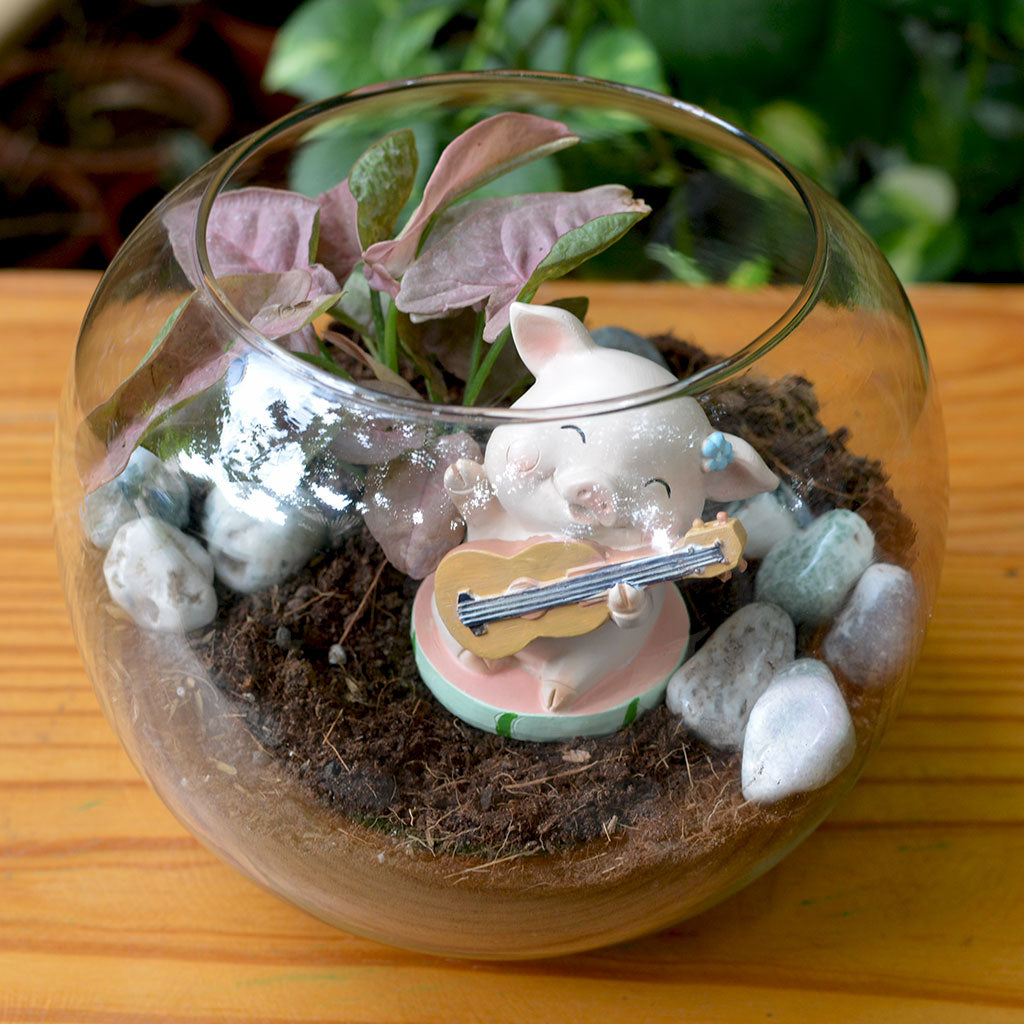 Violin-playing animal décor