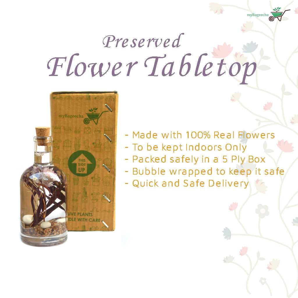 Curtained Wilderness Preserved Flower Tabletop with box - myBageecha