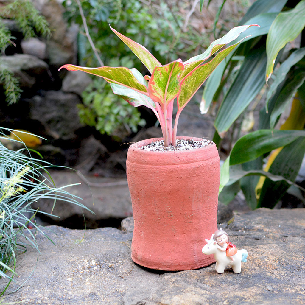 Set of 2 Curved Cylindrical Terracotta Pot front view – myBageecha