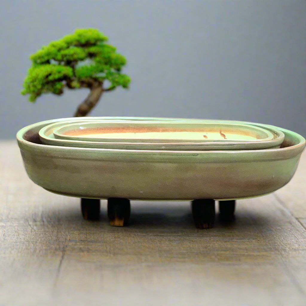 Set of 3 Chiselled Cypress Green Bonsai Ceramic Tray - myBageecha