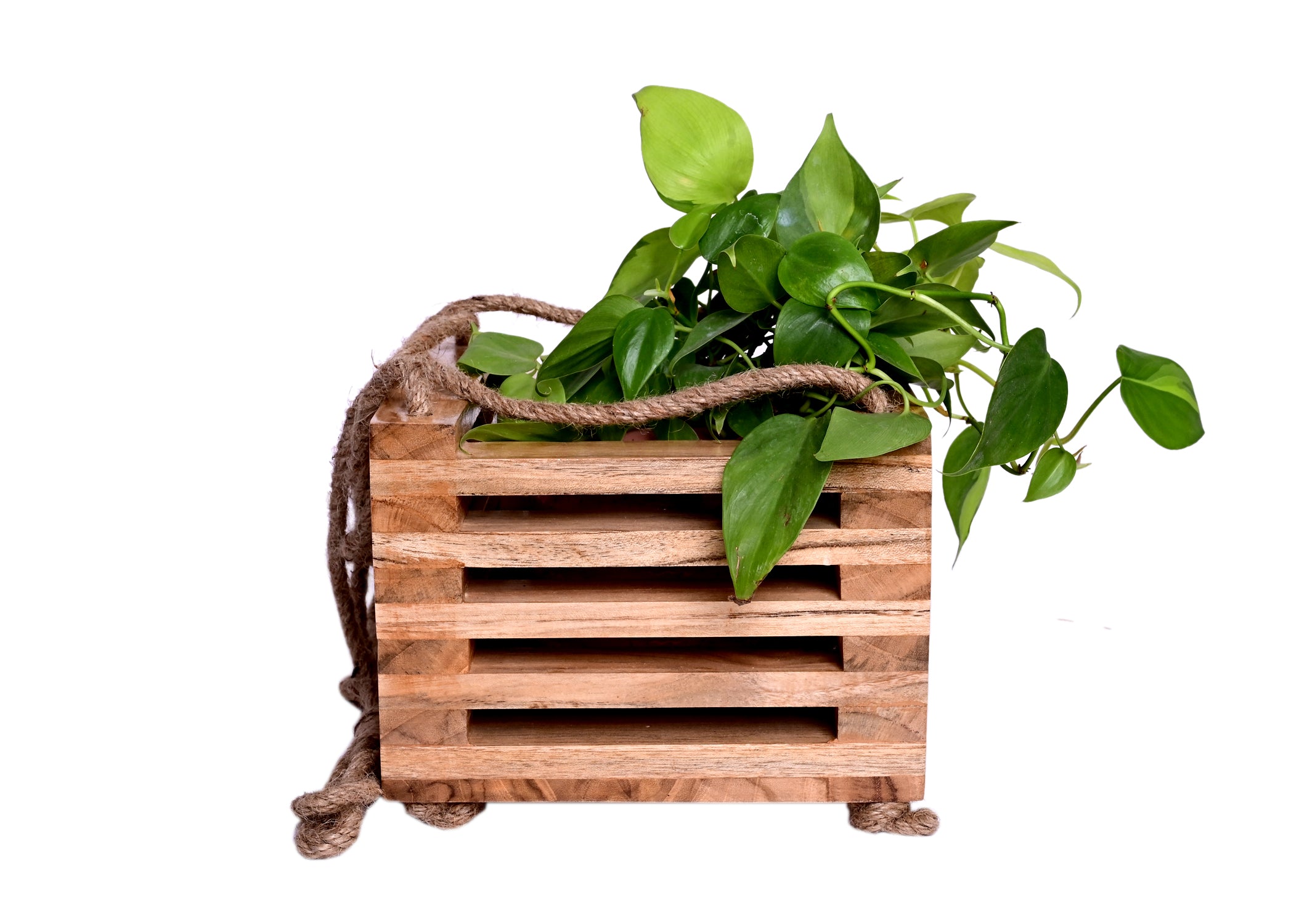 Solid Wood Hanging Wooden Planter - myBageecha