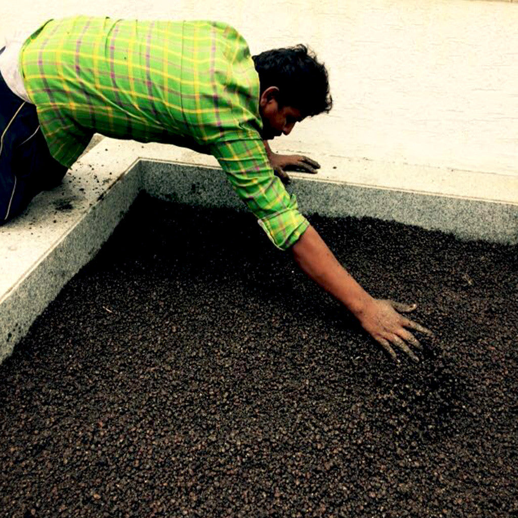 ECA - 8-15 mm -for Bottom Layer Garden Essentials myBageecha - myBageecha