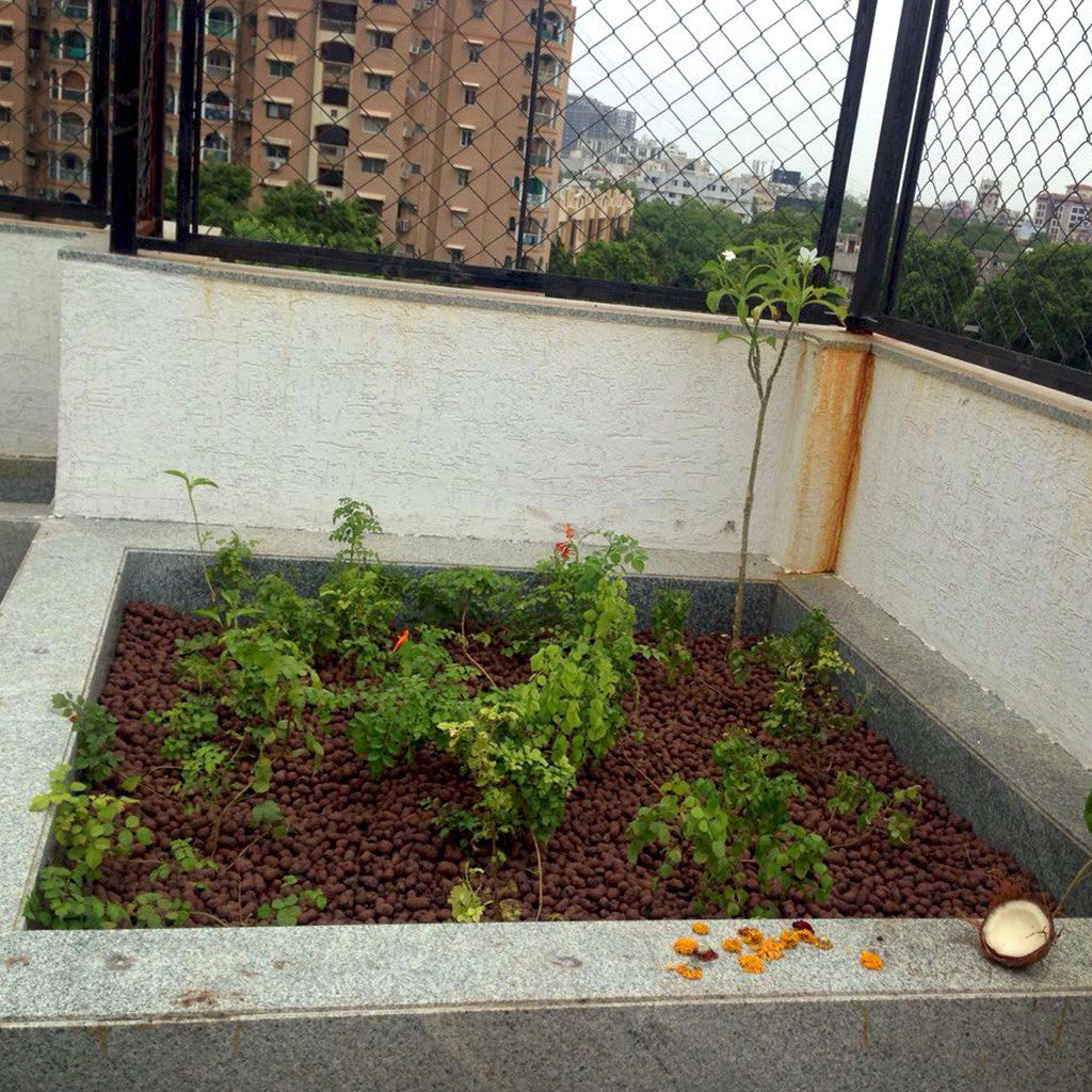 ECA -15-30 mm -For Dressing Layer Garden Essentials myBageecha - myBageecha