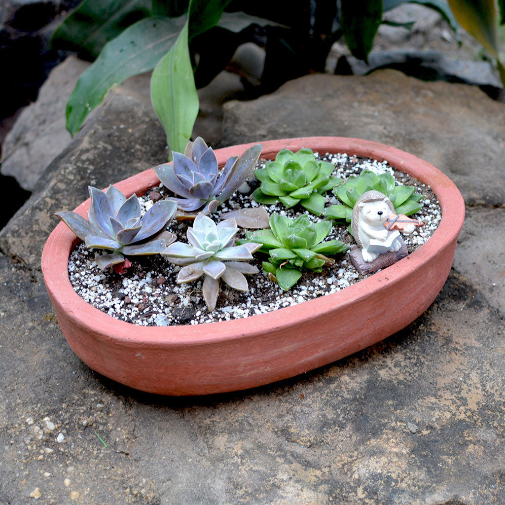 Close view of Oval Terracotta Pots - myBageecha