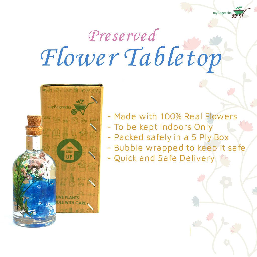 A refined, fresco-like preserved arrangement blending artistic tones and organic forms.