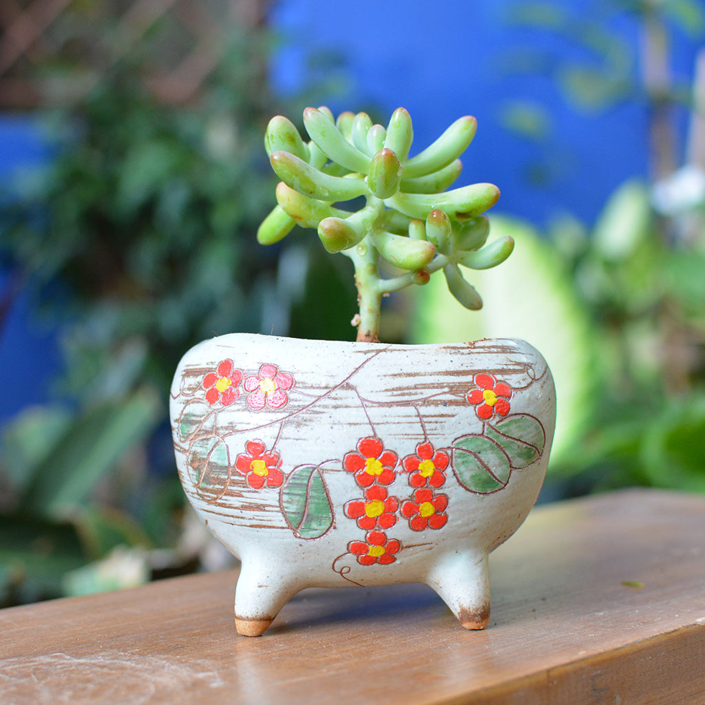 ceramic flower pots india Etched in Bloom Pot – Floral Etched Design