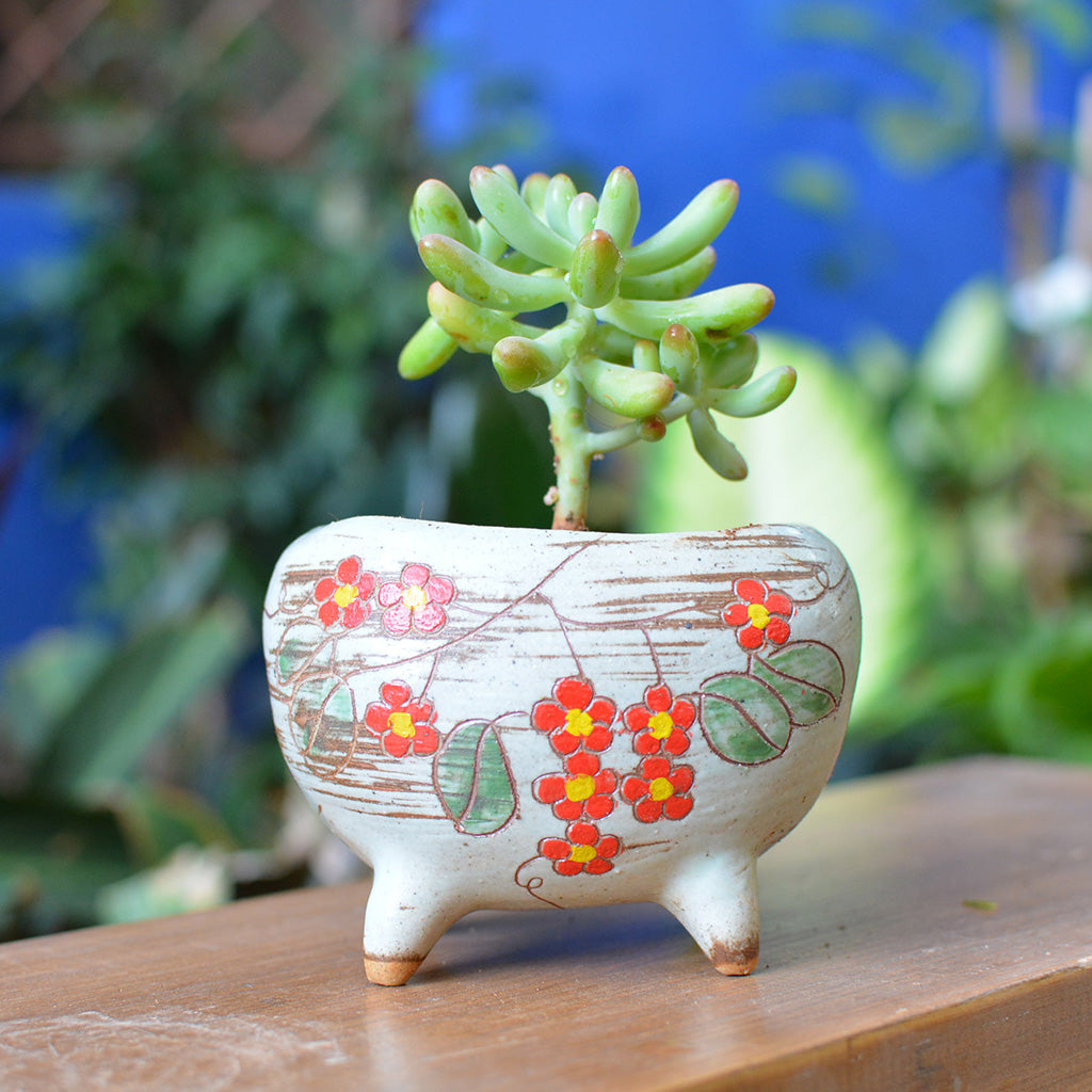 Etched in Bloom Ceramic Pot - myBageecha