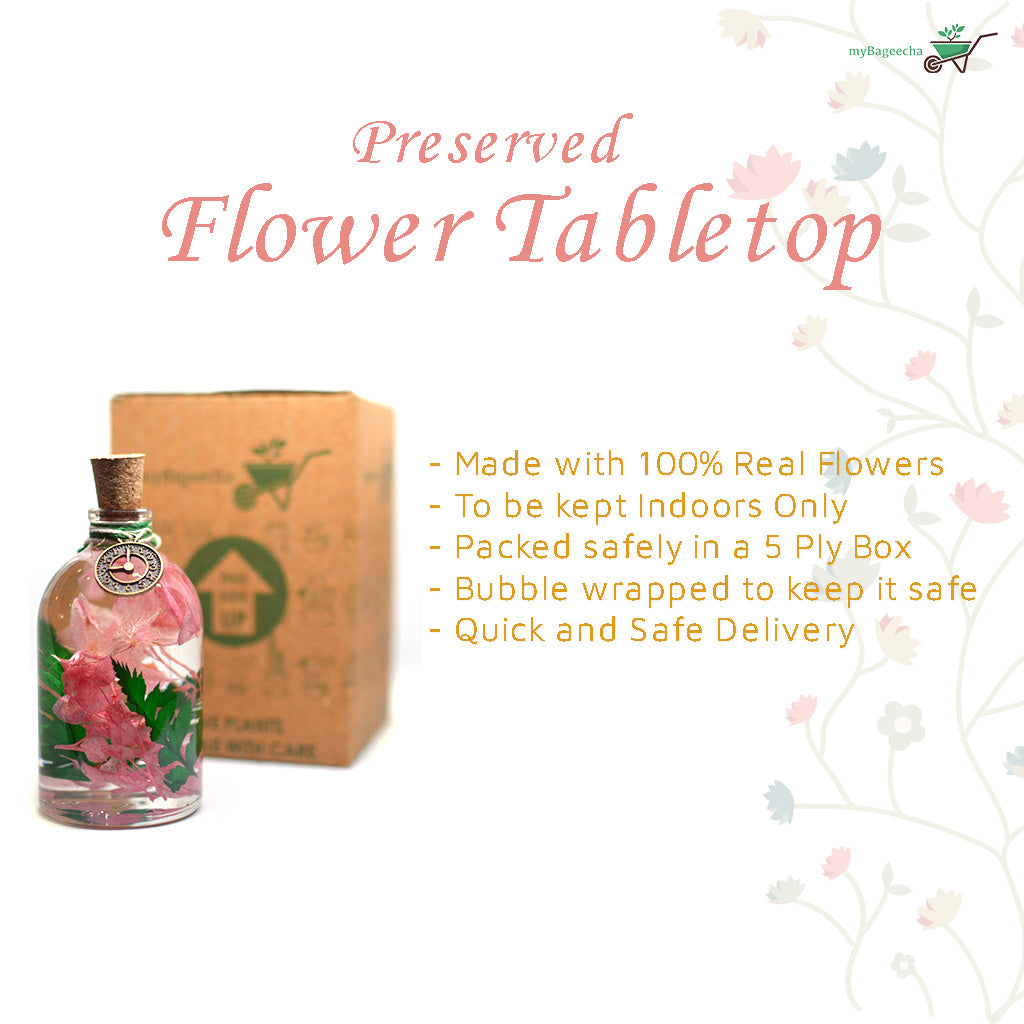 A timeless preserved floral composition that brings natural stillness and beauty indoors.