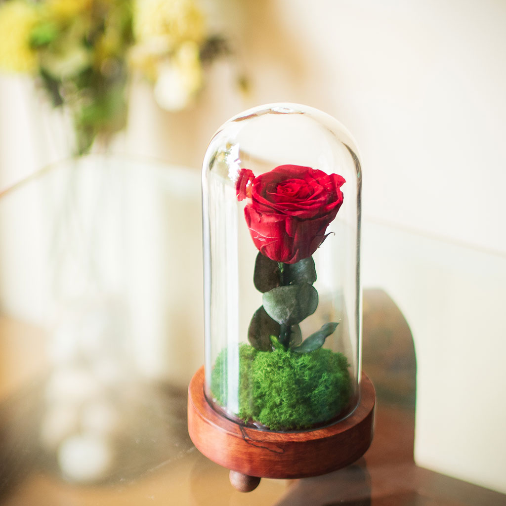 Angled view of The Eternal Rose (Red) – long-lasting preserved rose keepsake.