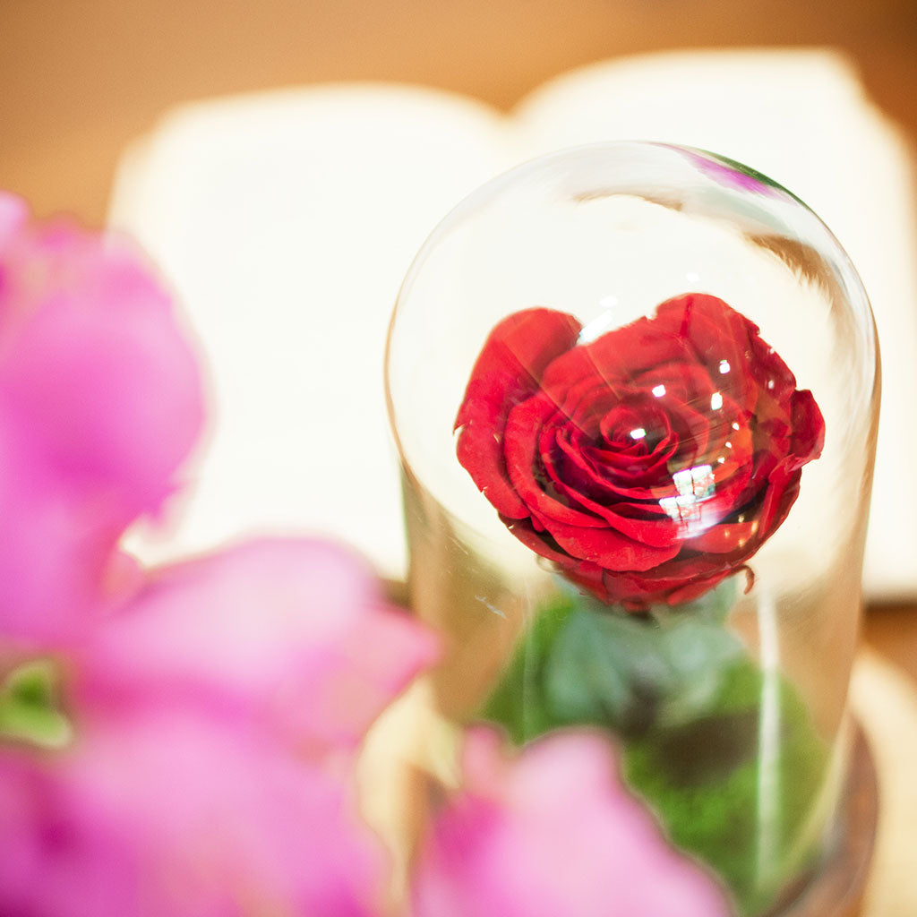Close-up of The Eternal Rose (Red) petals – rich romantic floral centerpiece.