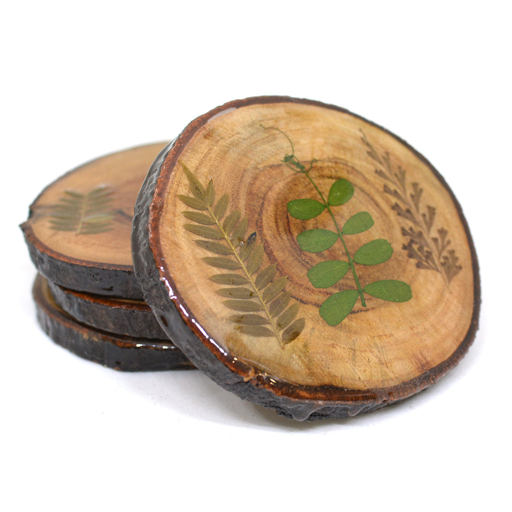 Fern Fossil Dried Flower Coaster - myBageecha