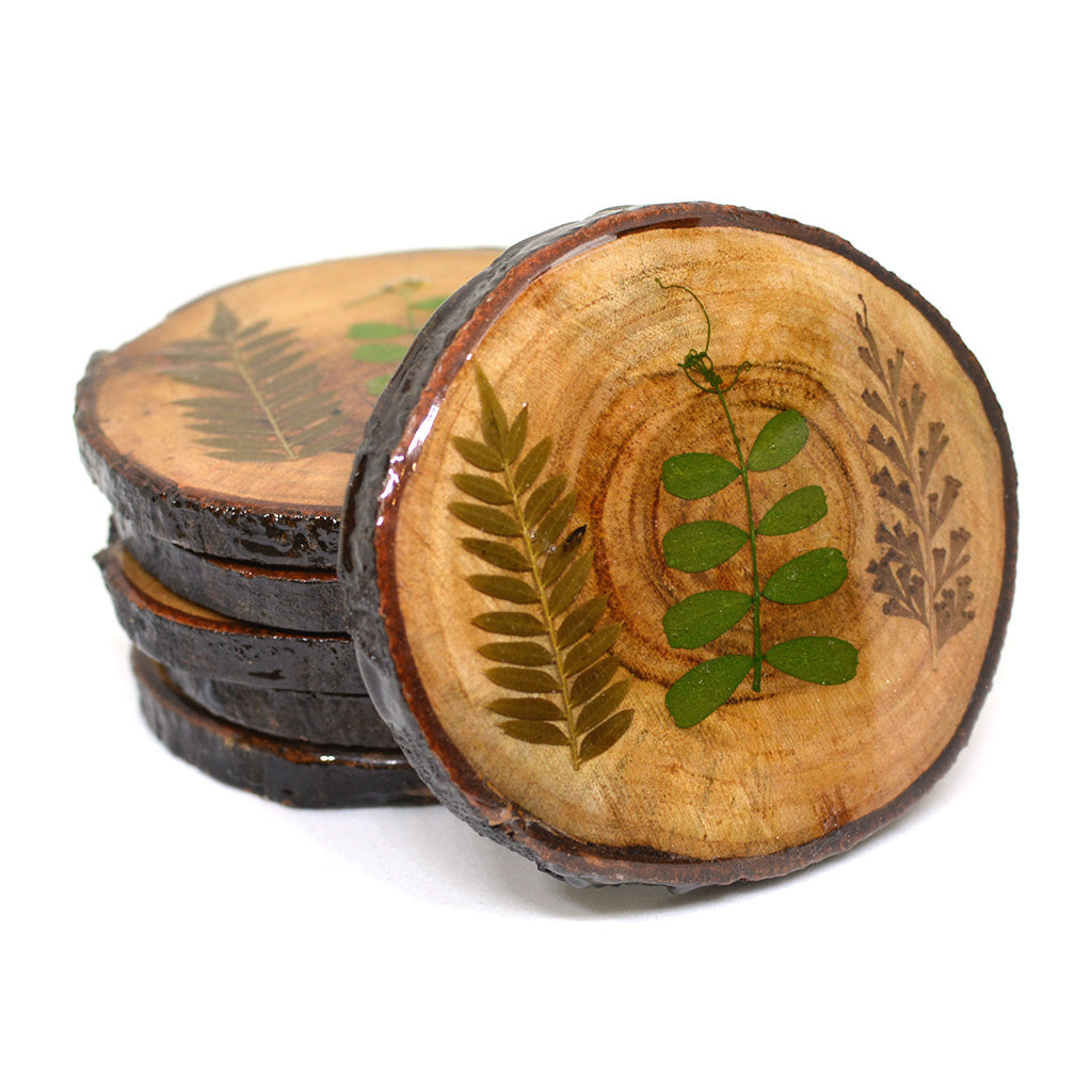 Fern Fossil Dried Flower Coaster - myBageecha