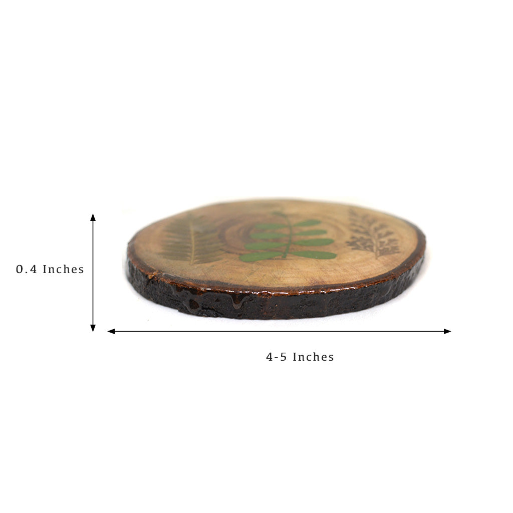 Fern Fossil Dried Flower Coaster - myBageecha