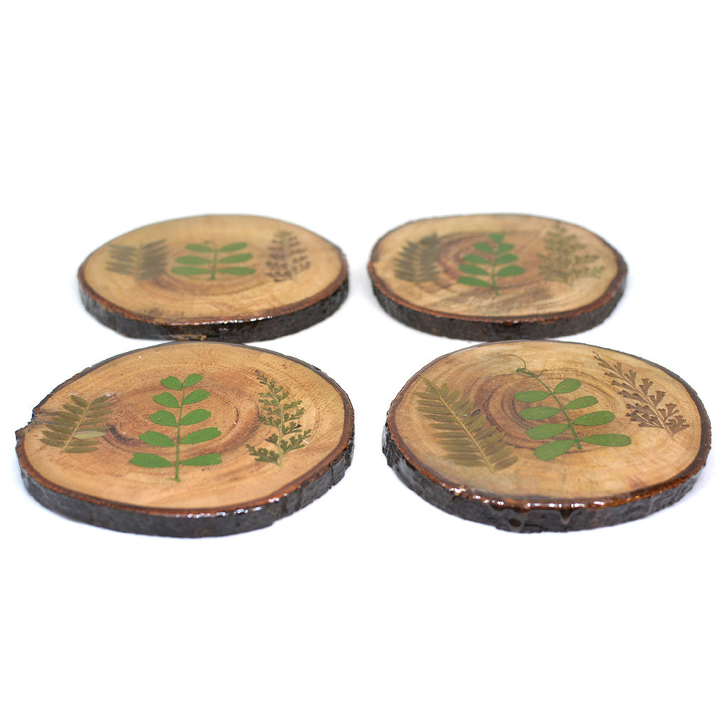 Fern Fossil Dried Flower Coaster - myBageecha