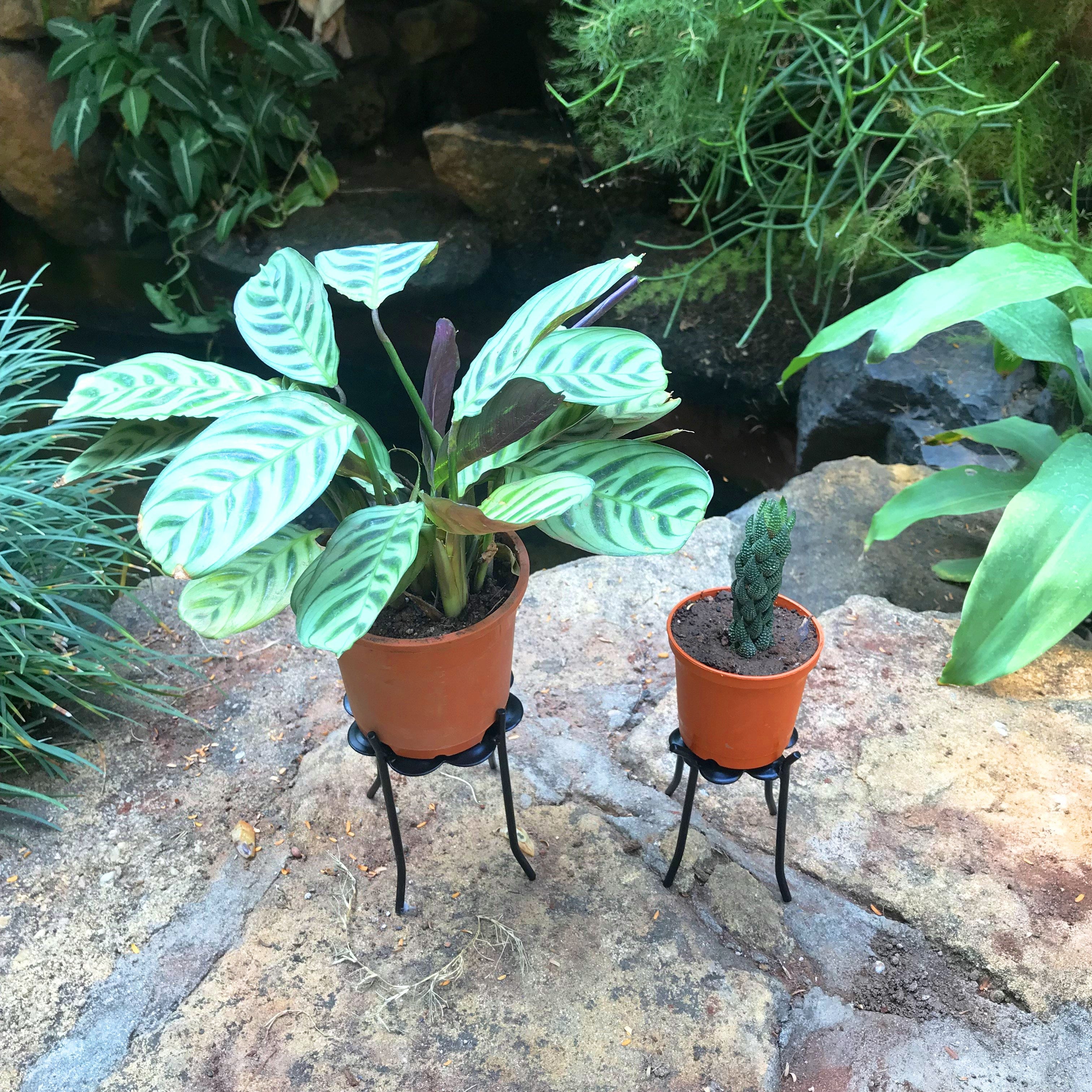 Set of Wrought Iron Floral Stand - myBageecha