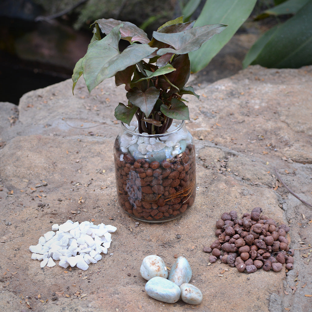 Flushed Camouflage Water Terrarium Kit - myBageecha