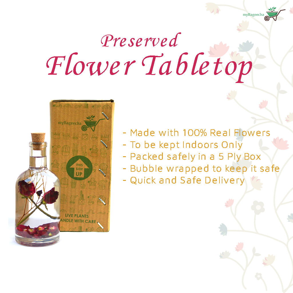 Floraison Quaint Rose Preserved Flower Tabletop - myBageecha