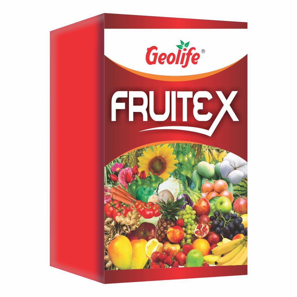 FRUITEX - Fruit Quality Enhancer - myBageecha