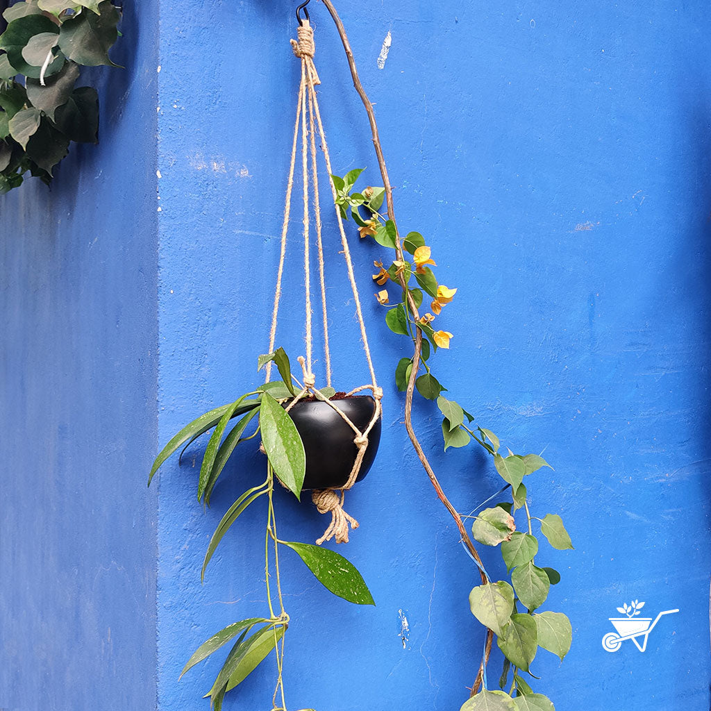 Galaxial Black Hanging Metal Pot with Rope - myBageecha