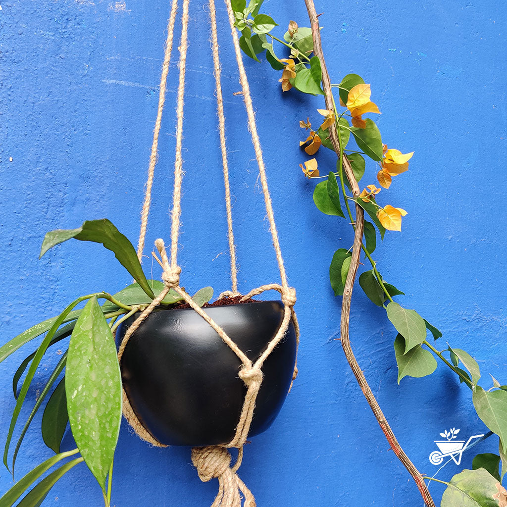Galaxial Black Hanging Metal Pot with Rope - myBageecha